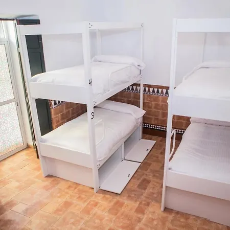 Hostel Vivian's